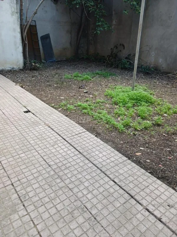 Kirayə verilir obyekt 555 m²