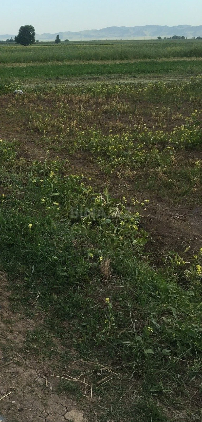 Satılır torpaq sahəsi 5 m²