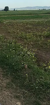 Satılır torpaq sahəsi 5 m²