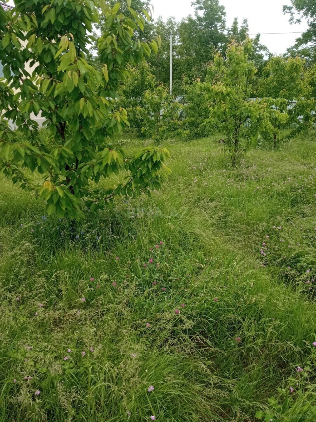 Kirayə verilir 3 otaqlı həyət evi 120 m²