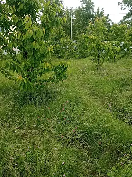 Kirayə verilir 3 otaqlı həyət evi 120 m²