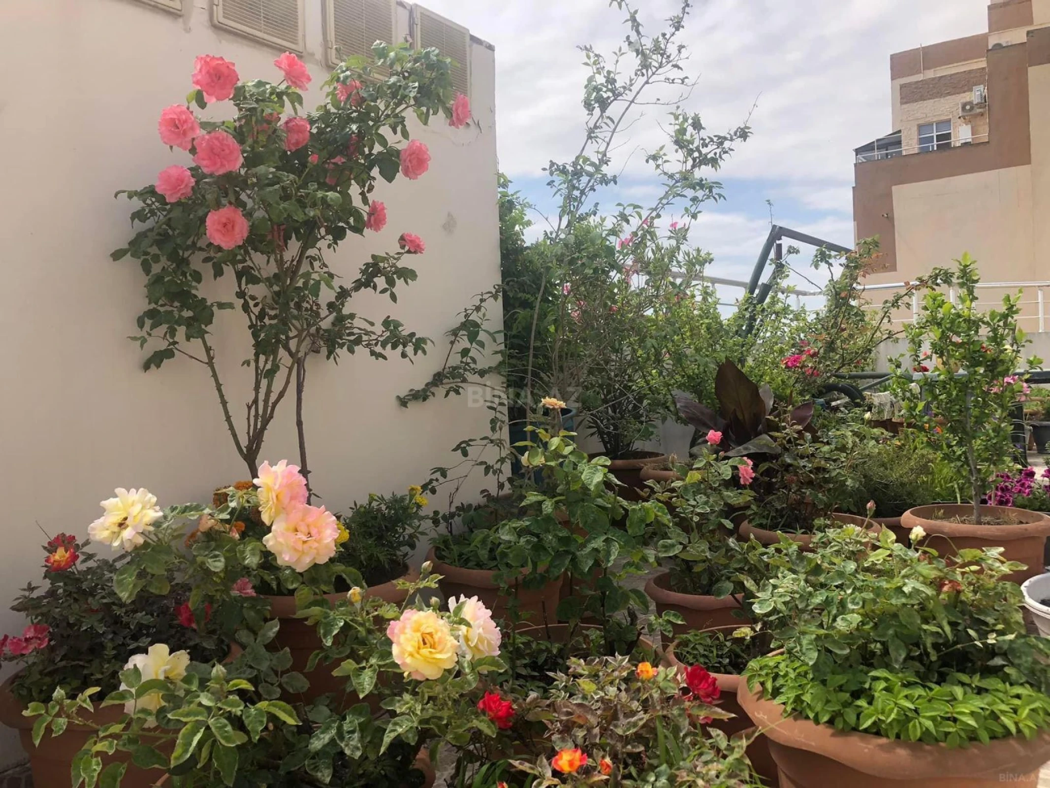 Satılır 6 otaqlı mənzil 433 m²