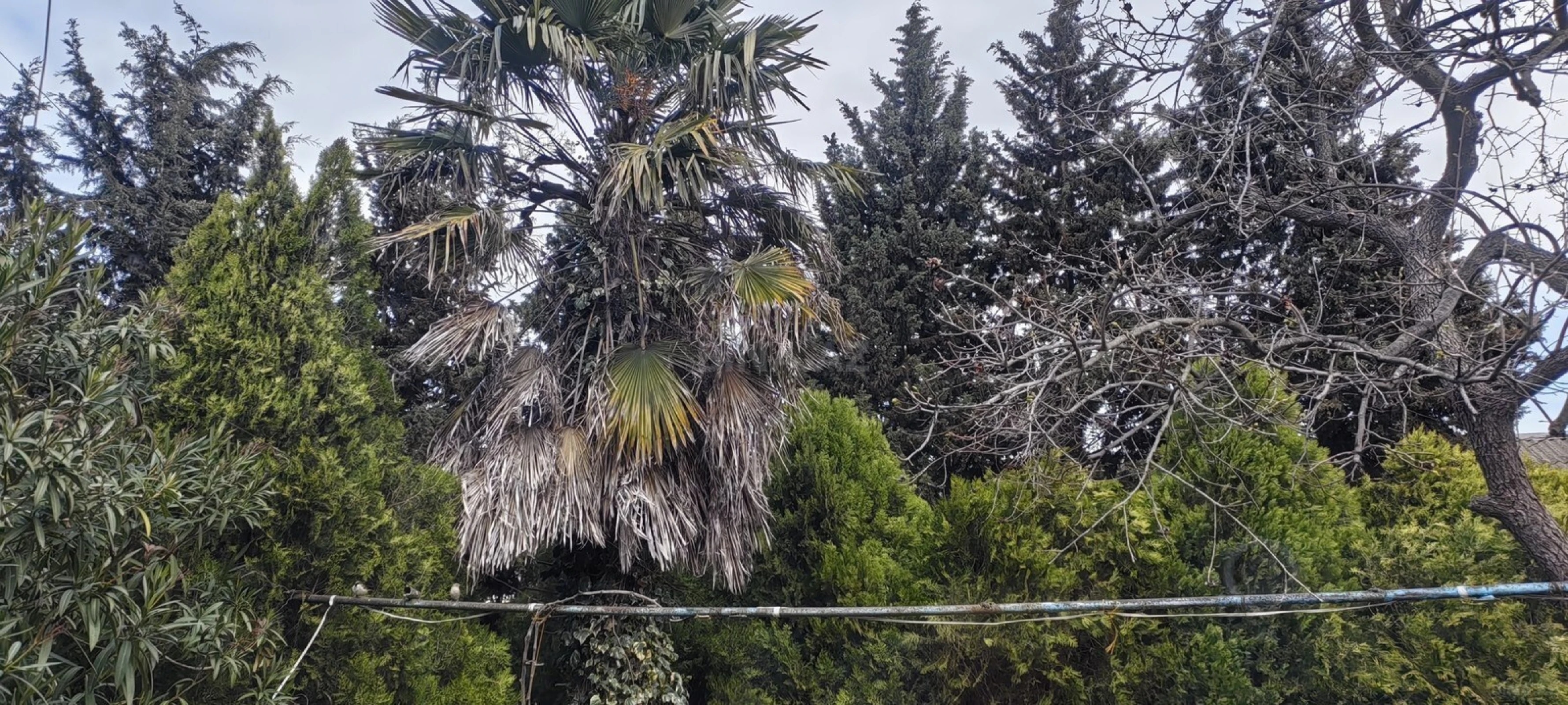 Satılır 4 otaqlı həyət evi 89 m²