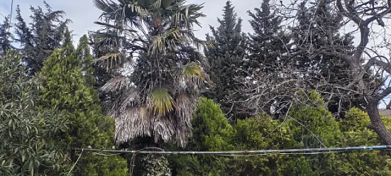 Satılır 4 otaqlı həyət evi 89 m²