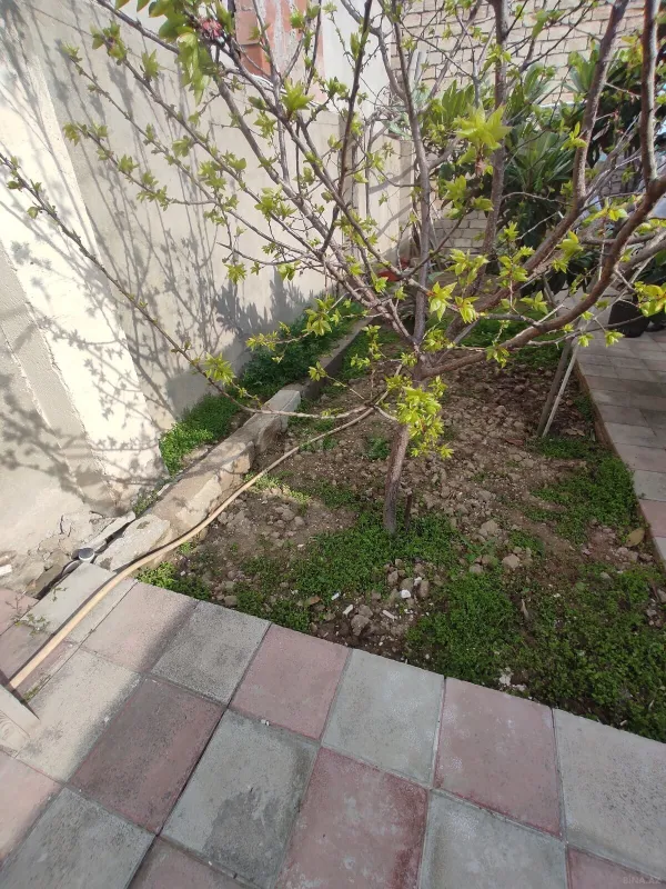 Satılır 3 otaqlı həyət evi 120 m²