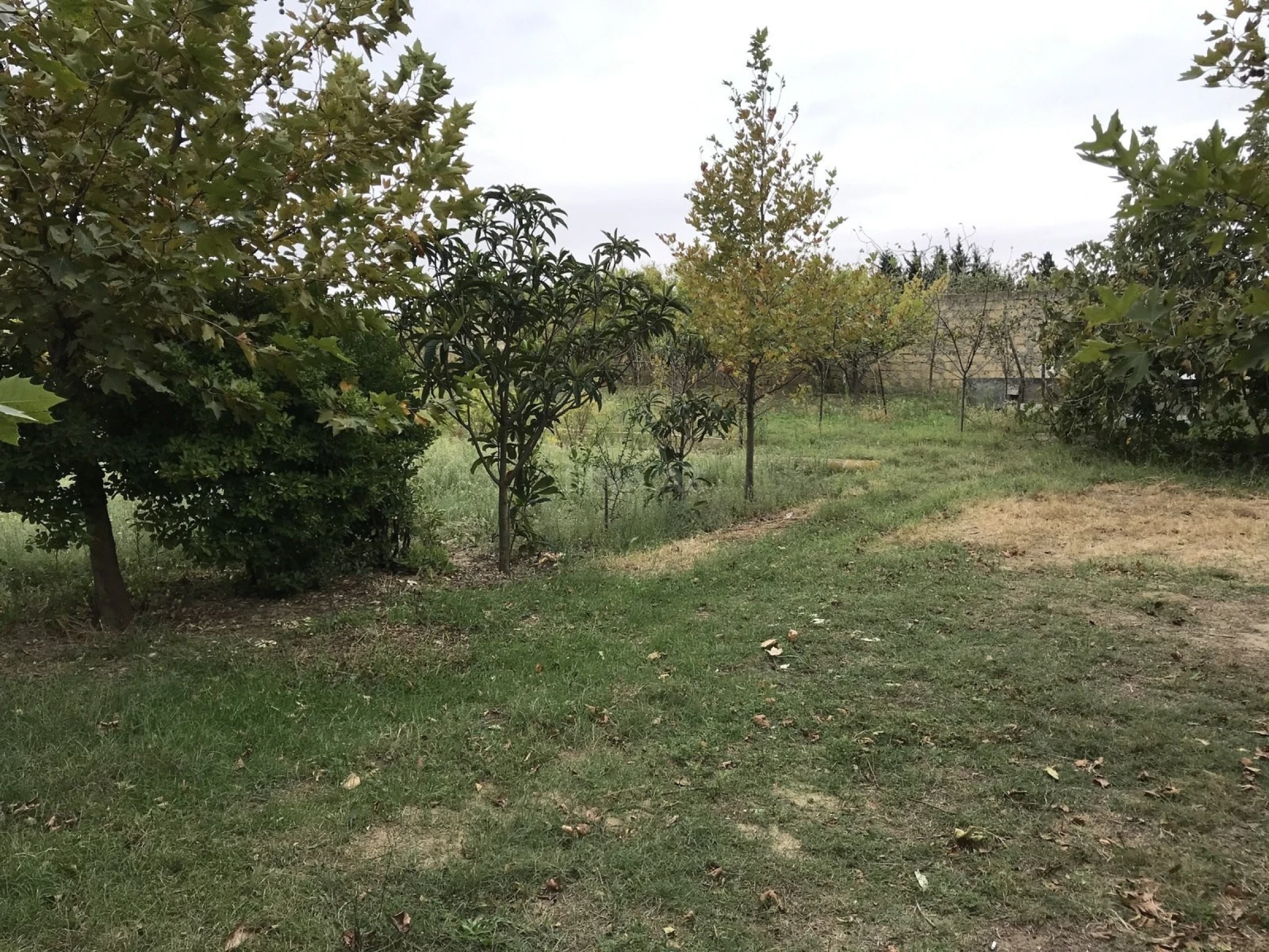 Satılır torpaq sahəsi 40 m²