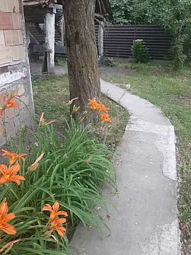 Kirayə verilir 2 otaqlı həyət evi 70 m²