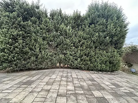 Satılır torpaq sahəsi 16 m²