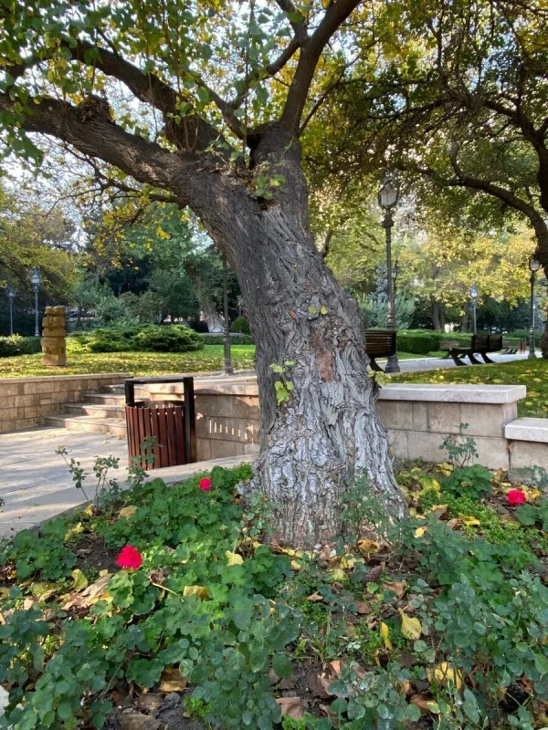 Satılır 3 otaqlı mənzil 101 m²