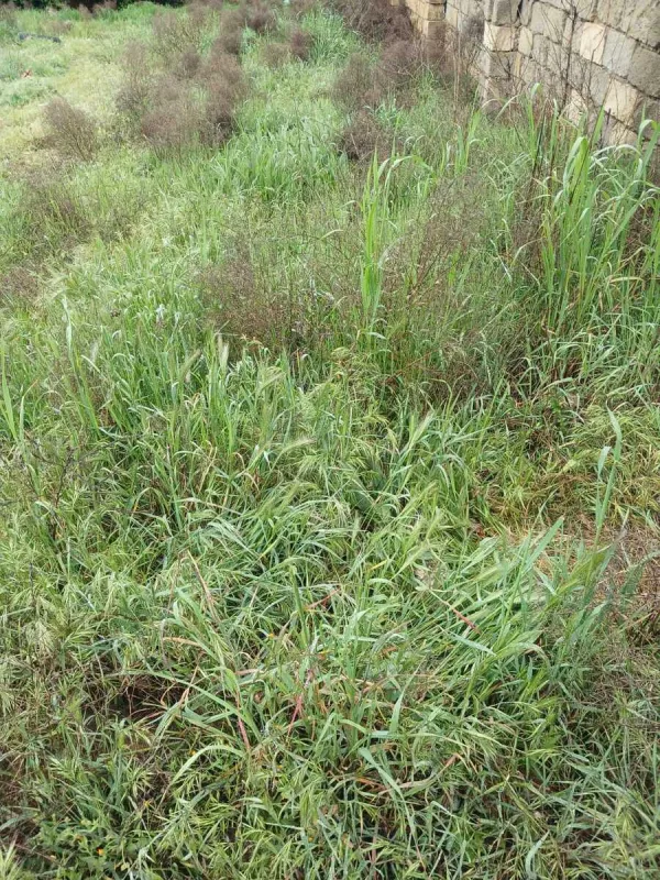 Satılır torpaq sahəsi 7 m²