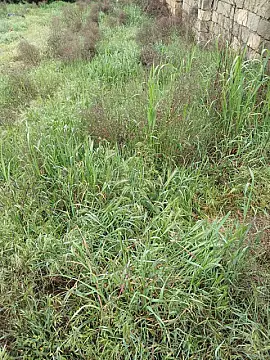 Satılır torpaq sahəsi 7 m²