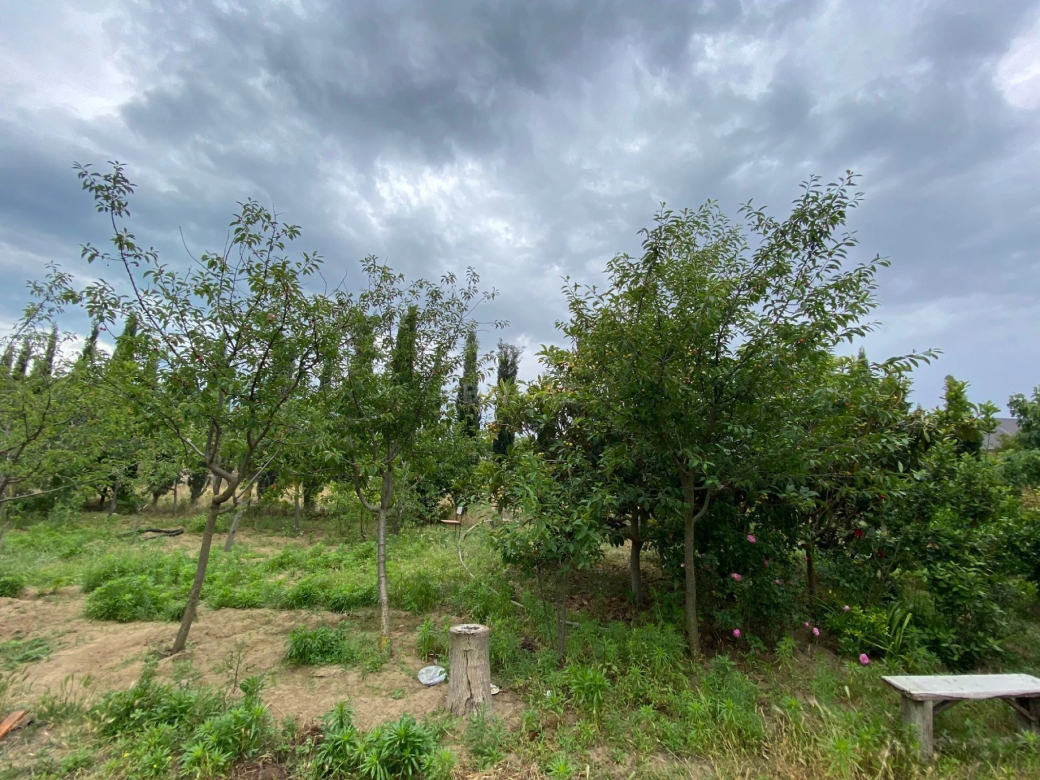 Satılır 5 otaqlı həyət evi 140 m²