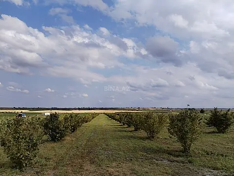 Satılır torpaq sahəsi 100 m² — Qusar 100.00 m²