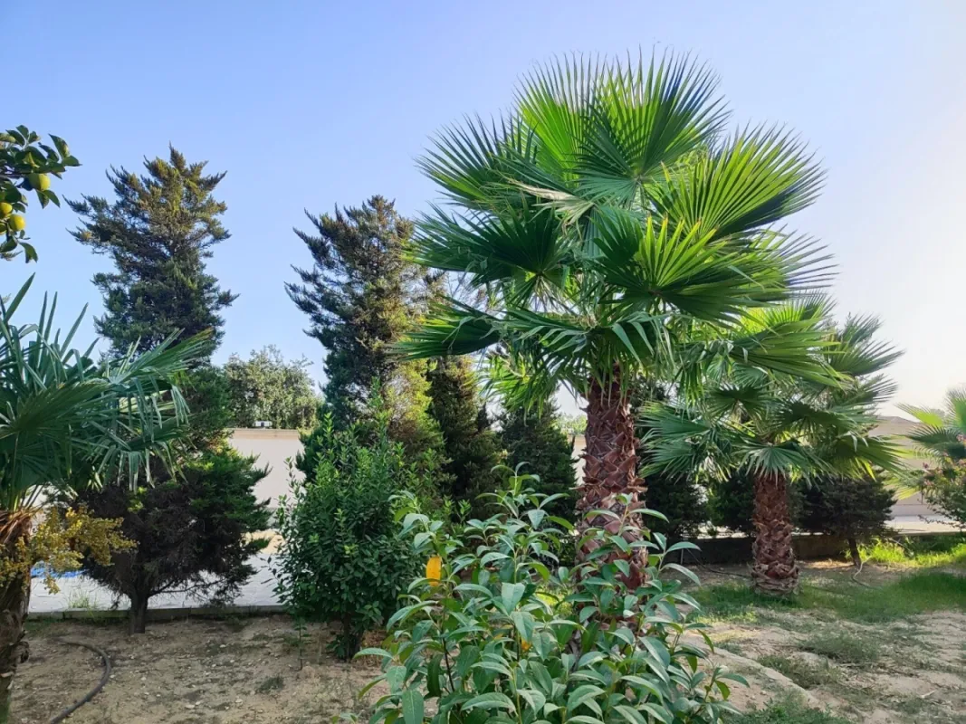 Satılır 5 otaqlı həyət evi 240 m²