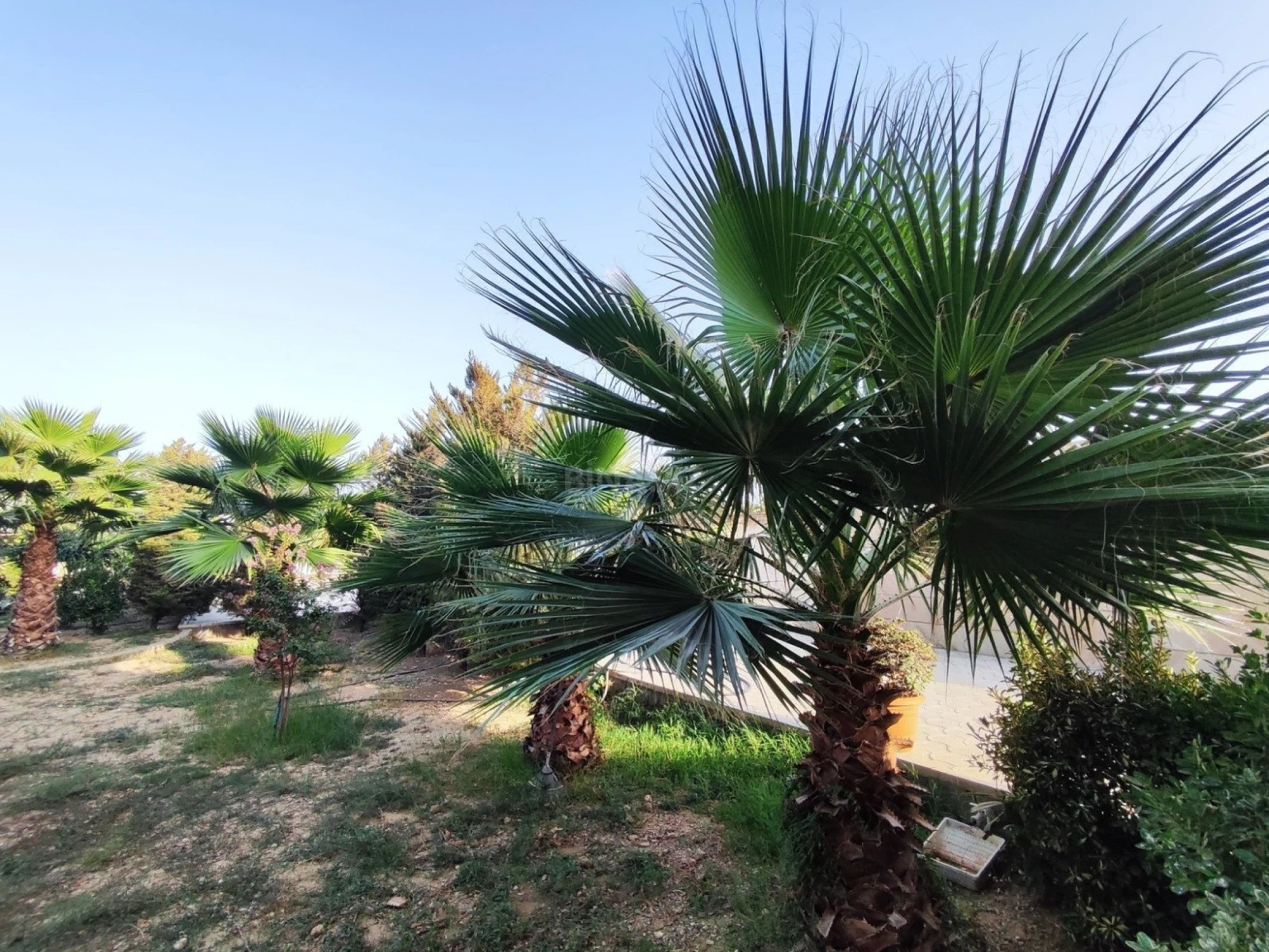 Satılır 5 otaqlı həyət evi 240 m²