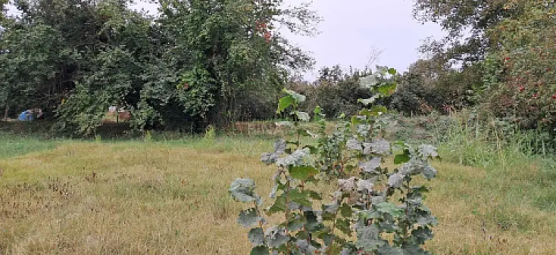 Satılır torpaq sahəsi 25 m²