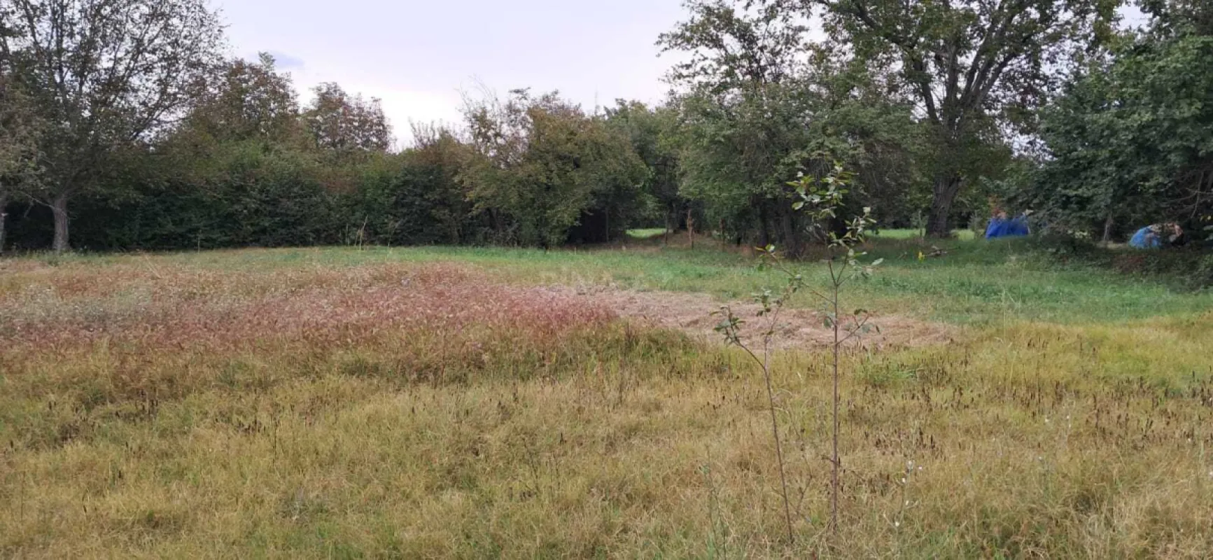 Satılır torpaq sahəsi 25 m²