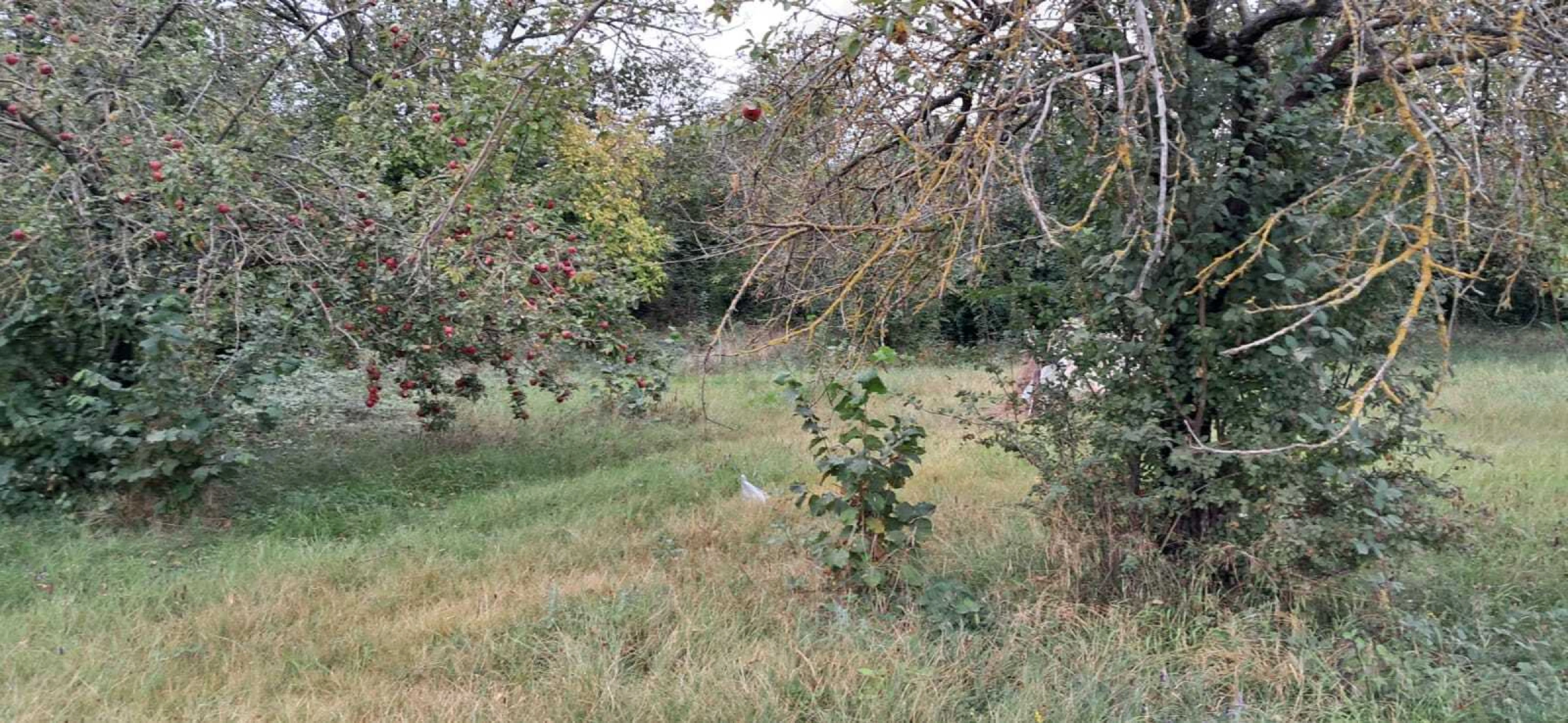 Satılır torpaq sahəsi 25 m²