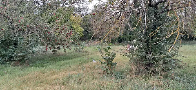 Satılır torpaq sahəsi 25 m²