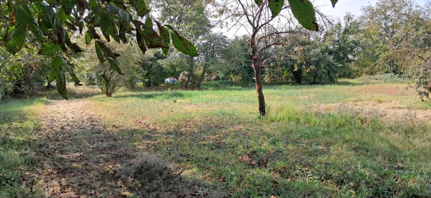 Satılır torpaq sahəsi 25 m²