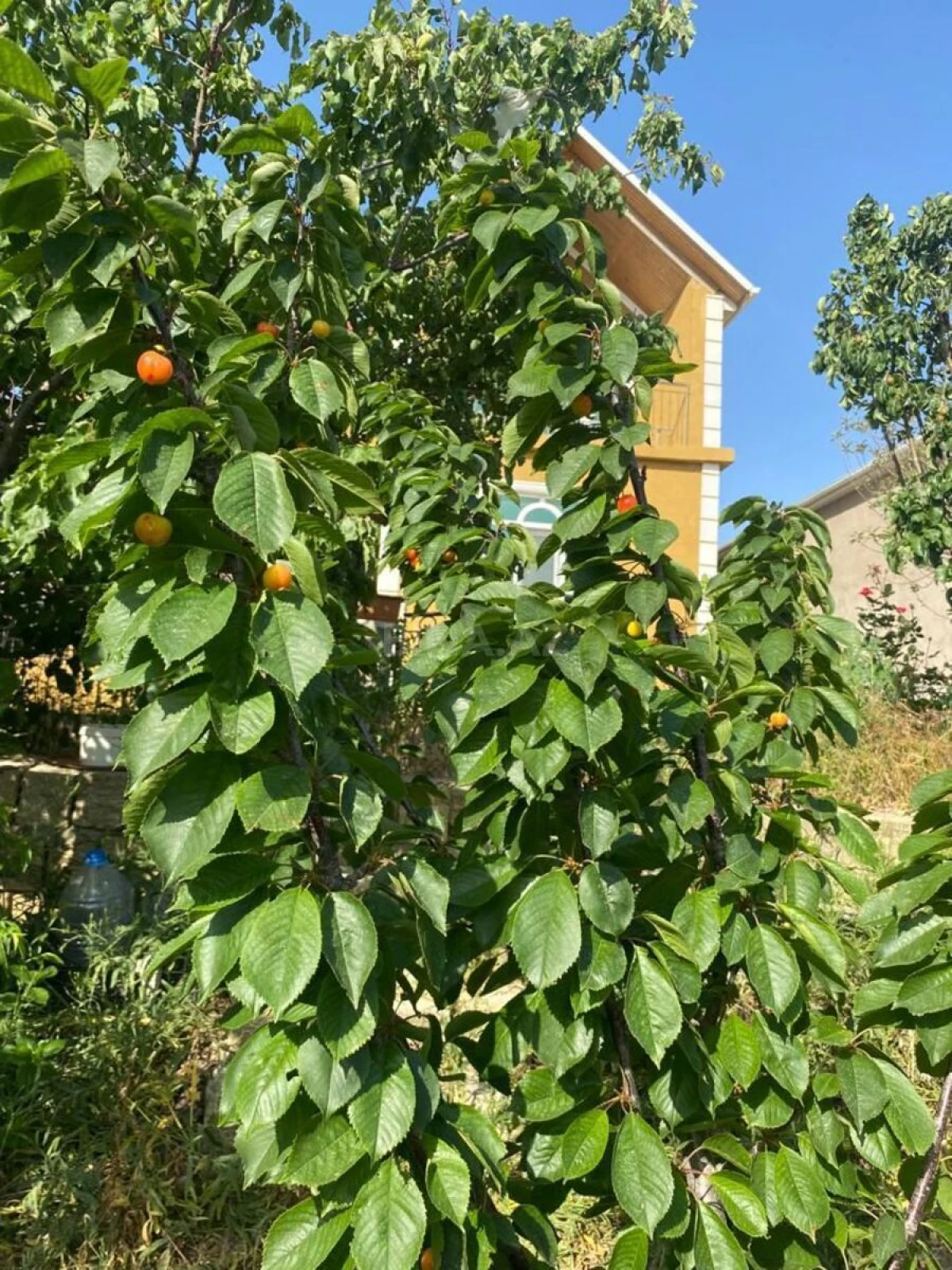 Satılır 4 otaqlı həyət evi 180 m²