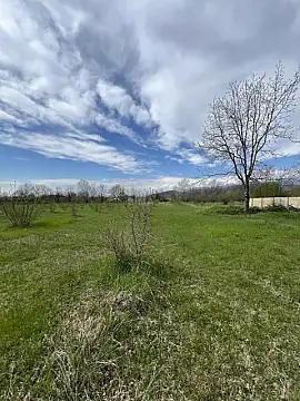 Satılır torpaq sahəsi 58 m²