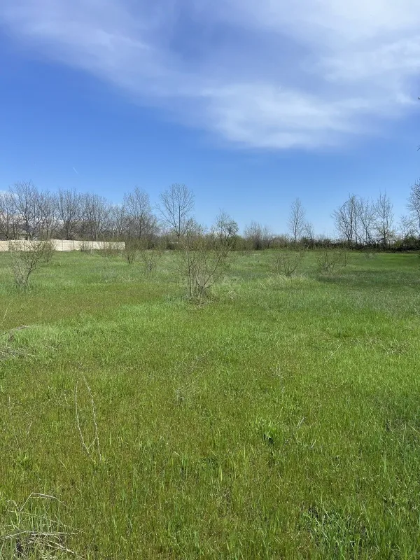 Satılır torpaq sahəsi 58 m²