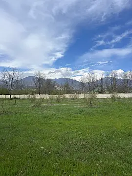 Satılır torpaq sahəsi 58 m² — Qəbələ 58.00 m²