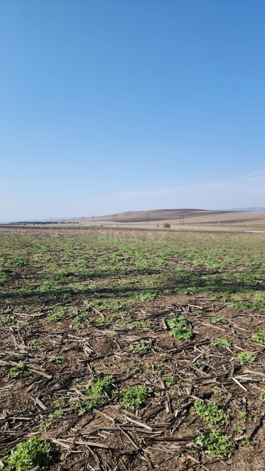 Satılır torpaq sahəsi 1600 m²