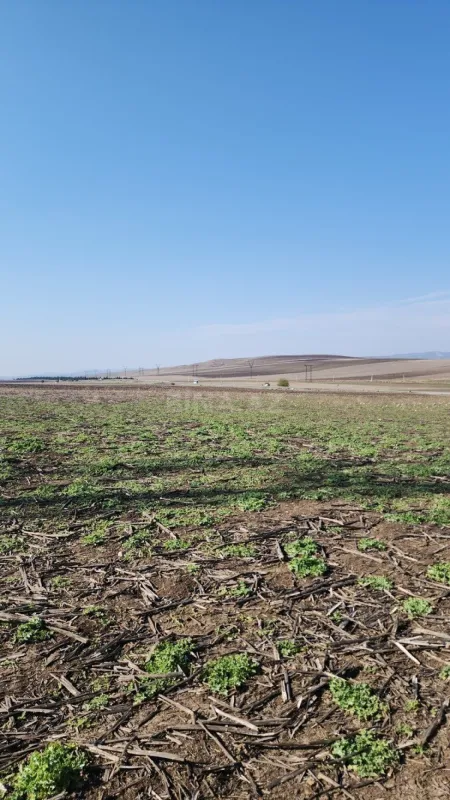 Satılır torpaq sahəsi 1600 m²