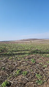 Satılır torpaq sahəsi 1600 m²