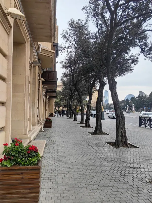 Satılır 3 otaqlı mənzil 126 m²