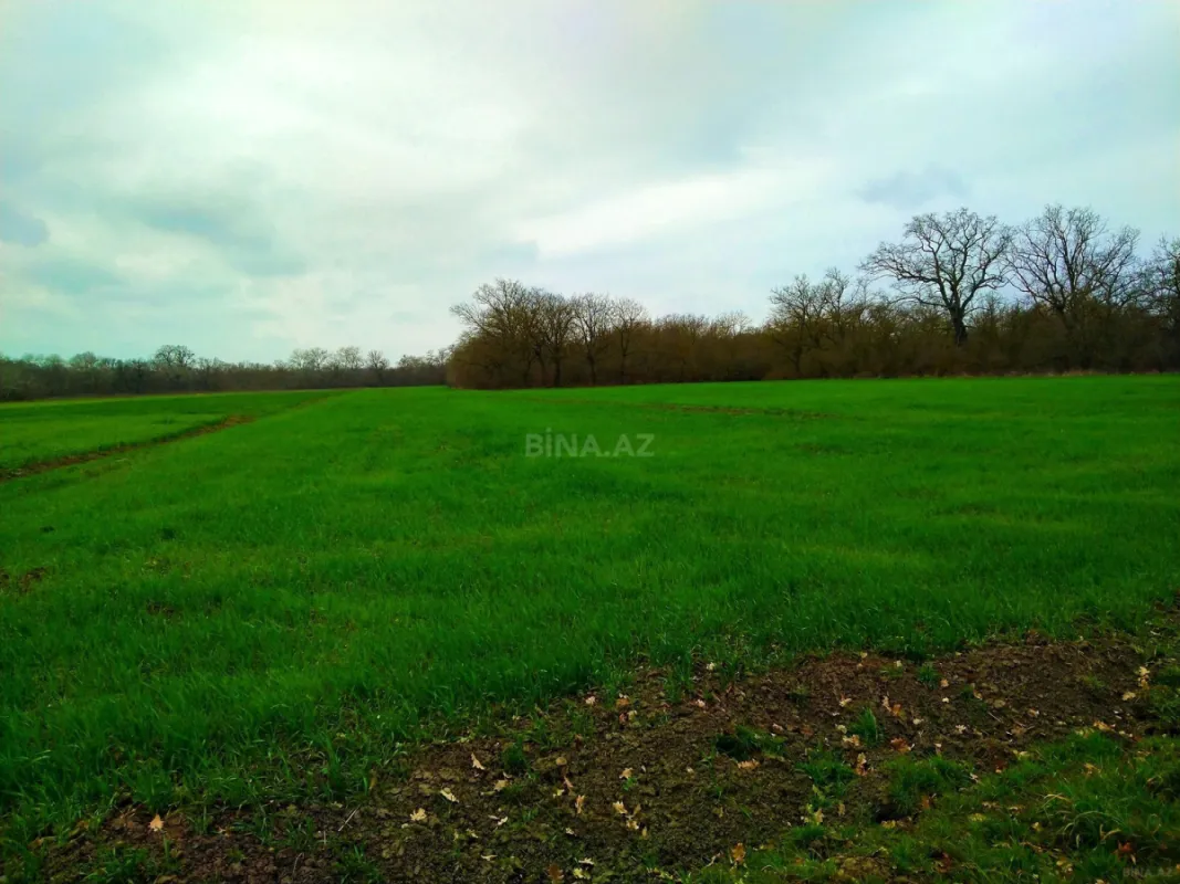 Satılır torpaq sahəsi 300 m²