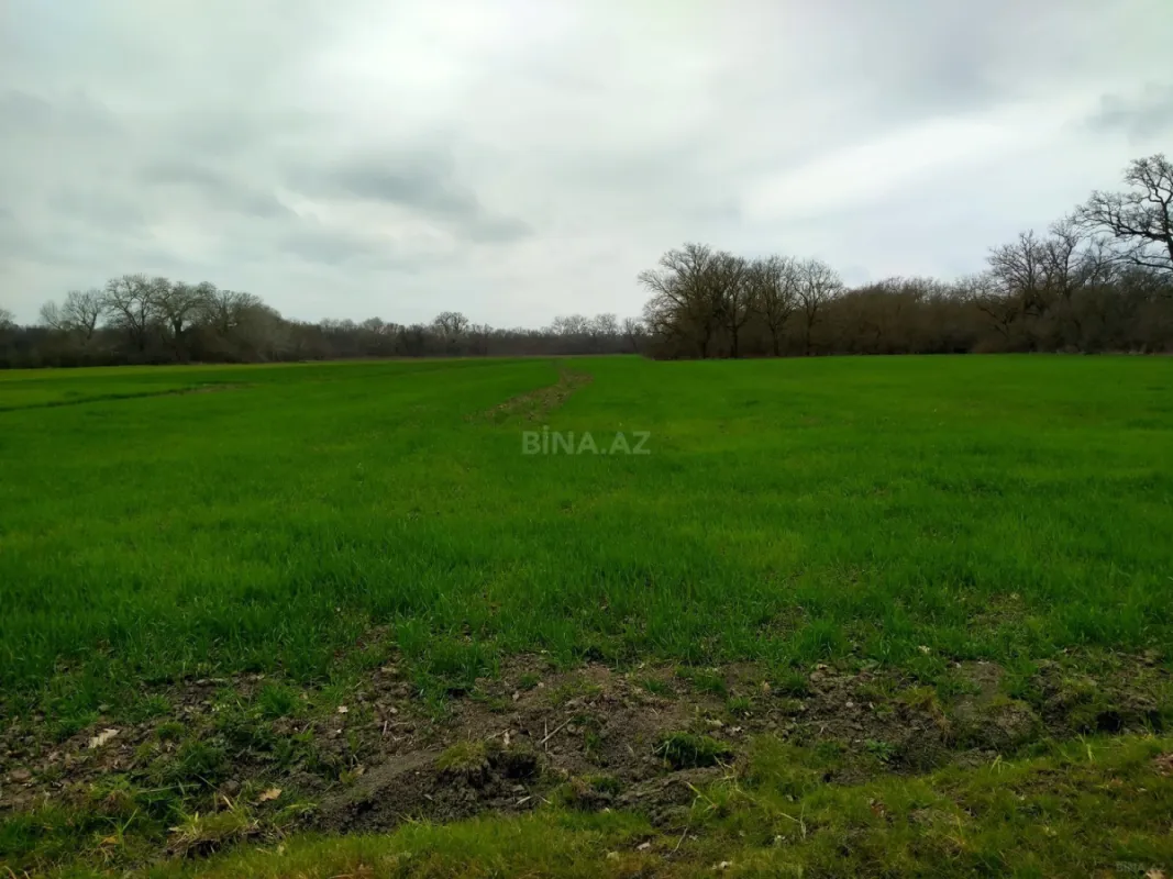 Satılır torpaq sahəsi 300 m²