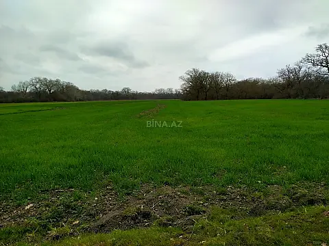 Satılır torpaq sahəsi 300 m²