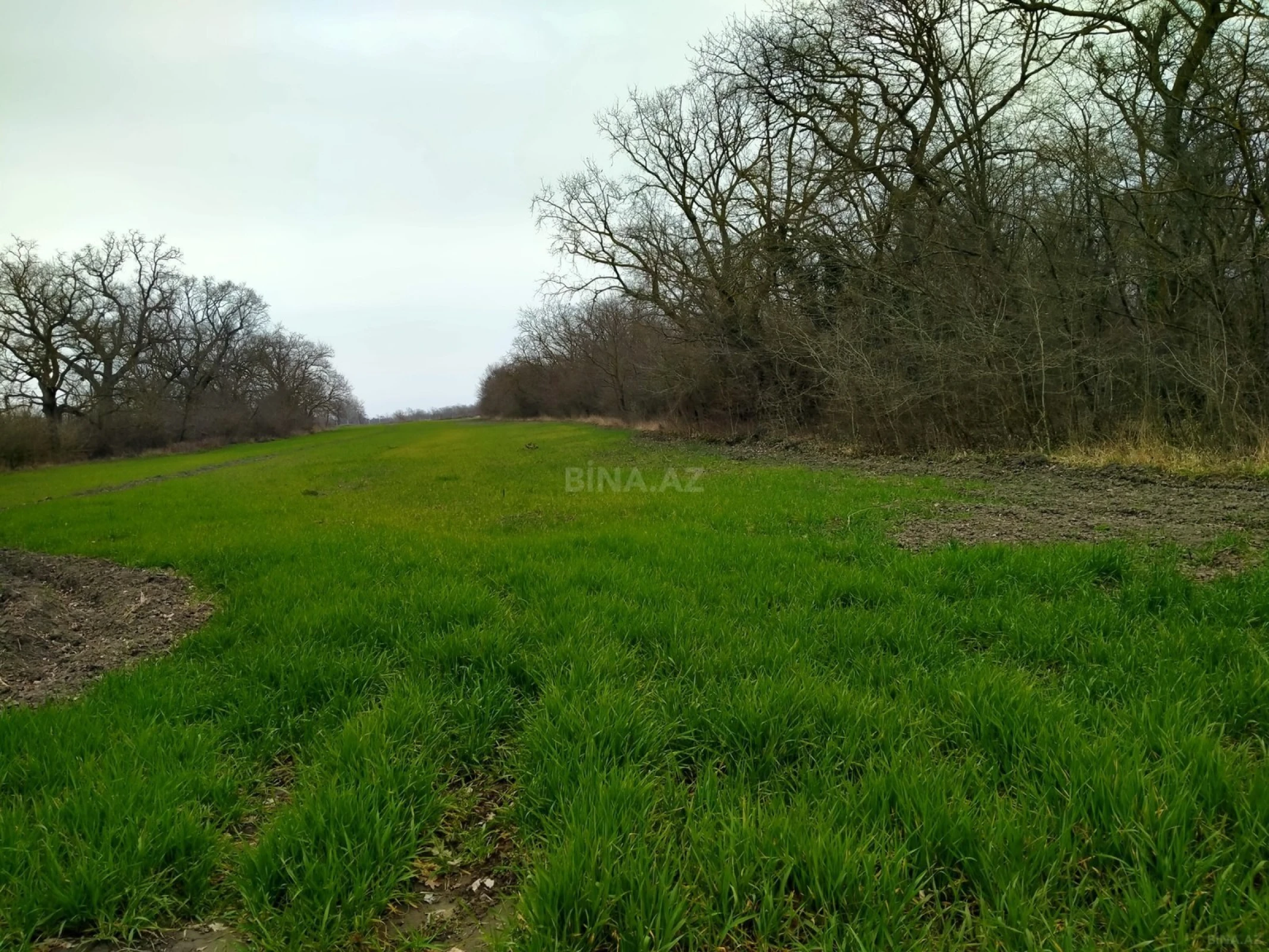 Satılır torpaq sahəsi 300 m²