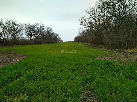 Satılır torpaq sahəsi 300 m²