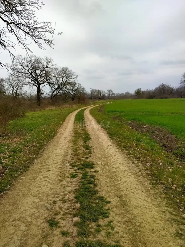 Satılır torpaq sahəsi 300 m²