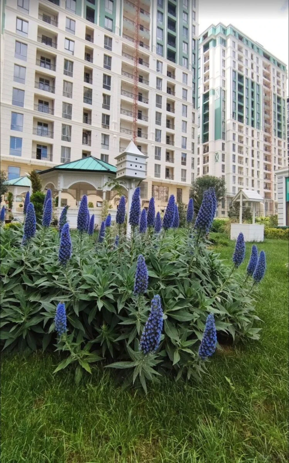 Kirayə verilir 2 otaqlı mənzil 62 m²