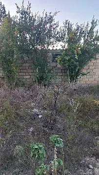 Satılır torpaq sahəsi 10 m² — Bakı, Pirallahı 10.00 m²