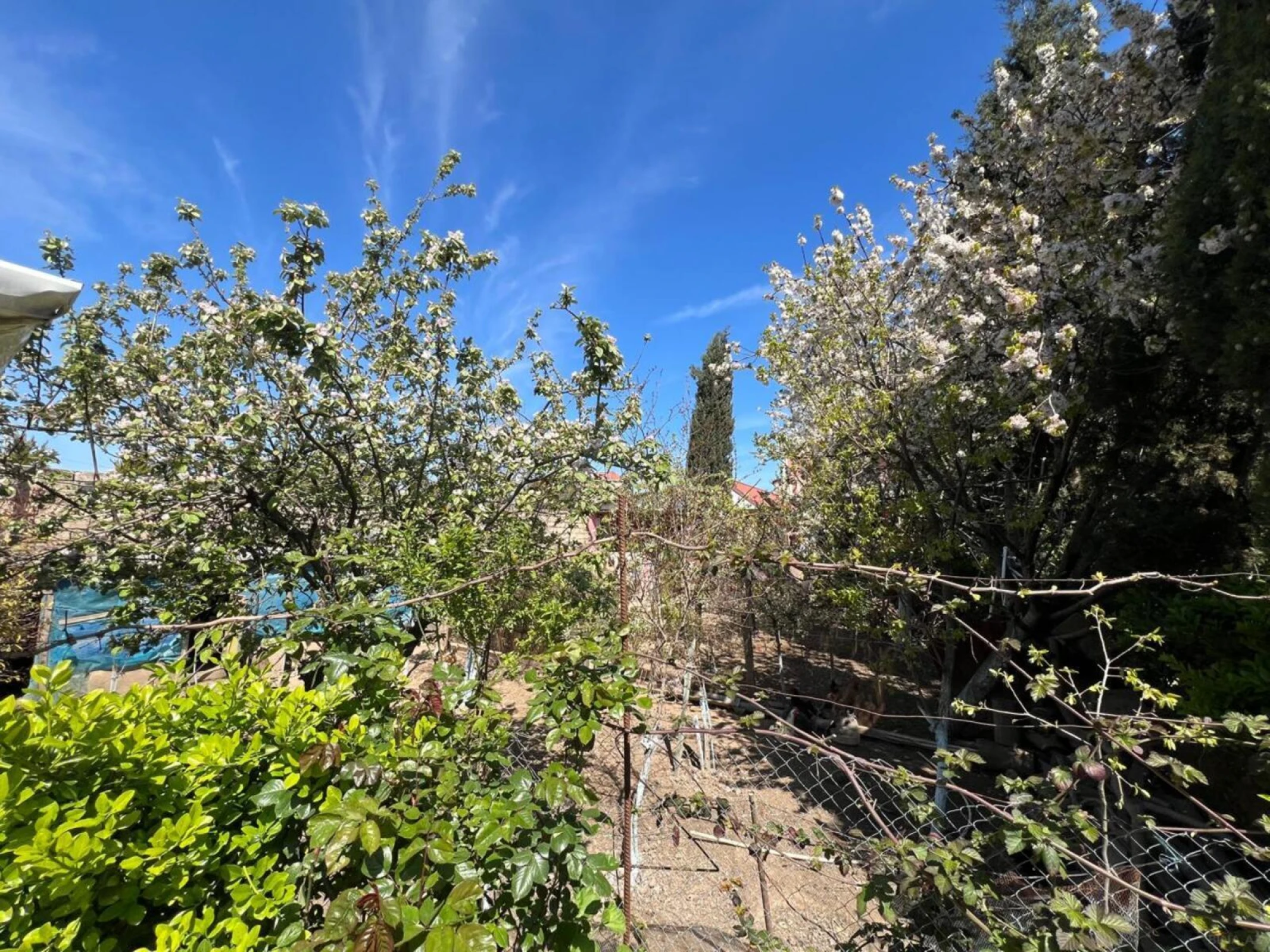 Satılır 7 otaqlı həyət evi 300 m²