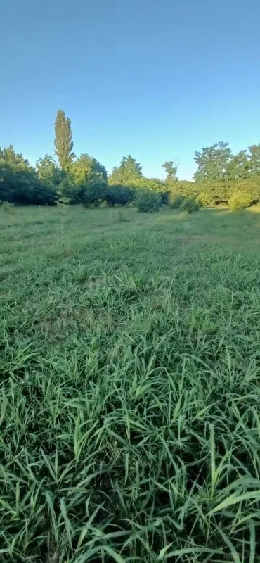 Satılır torpaq sahəsi 50 m²