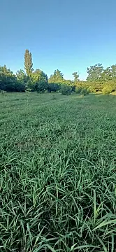 Satılır torpaq sahəsi 50 m²