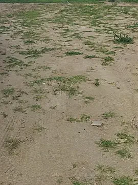 Satılır torpaq sahəsi 14 m² — Bakı, Novxanı 14.00 m²