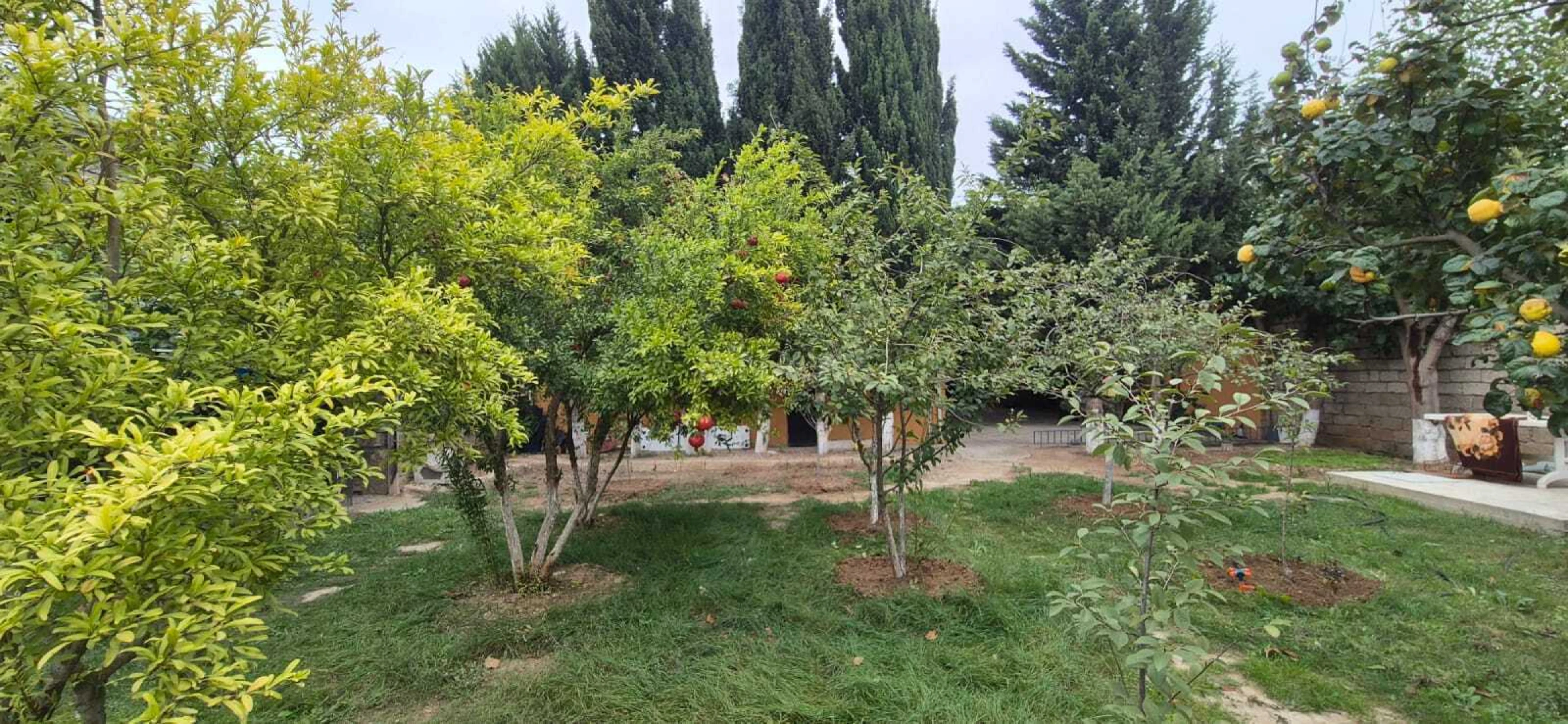 Satılır 4 otaqlı həyət evi 157 m²