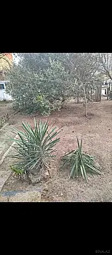 Satılır 5 otaqlı həyət evi 114 m²