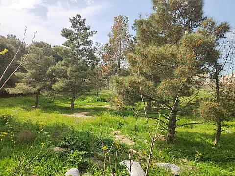 Satılır torpaq sahəsi 30 m²