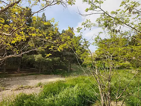 Satılır torpaq sahəsi 30 m²