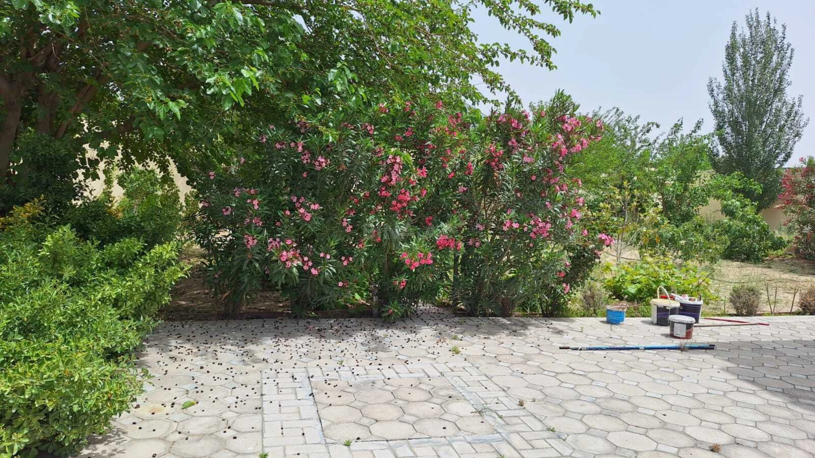 Kirayə verilir 5 otaqlı həyət evi 200 m²