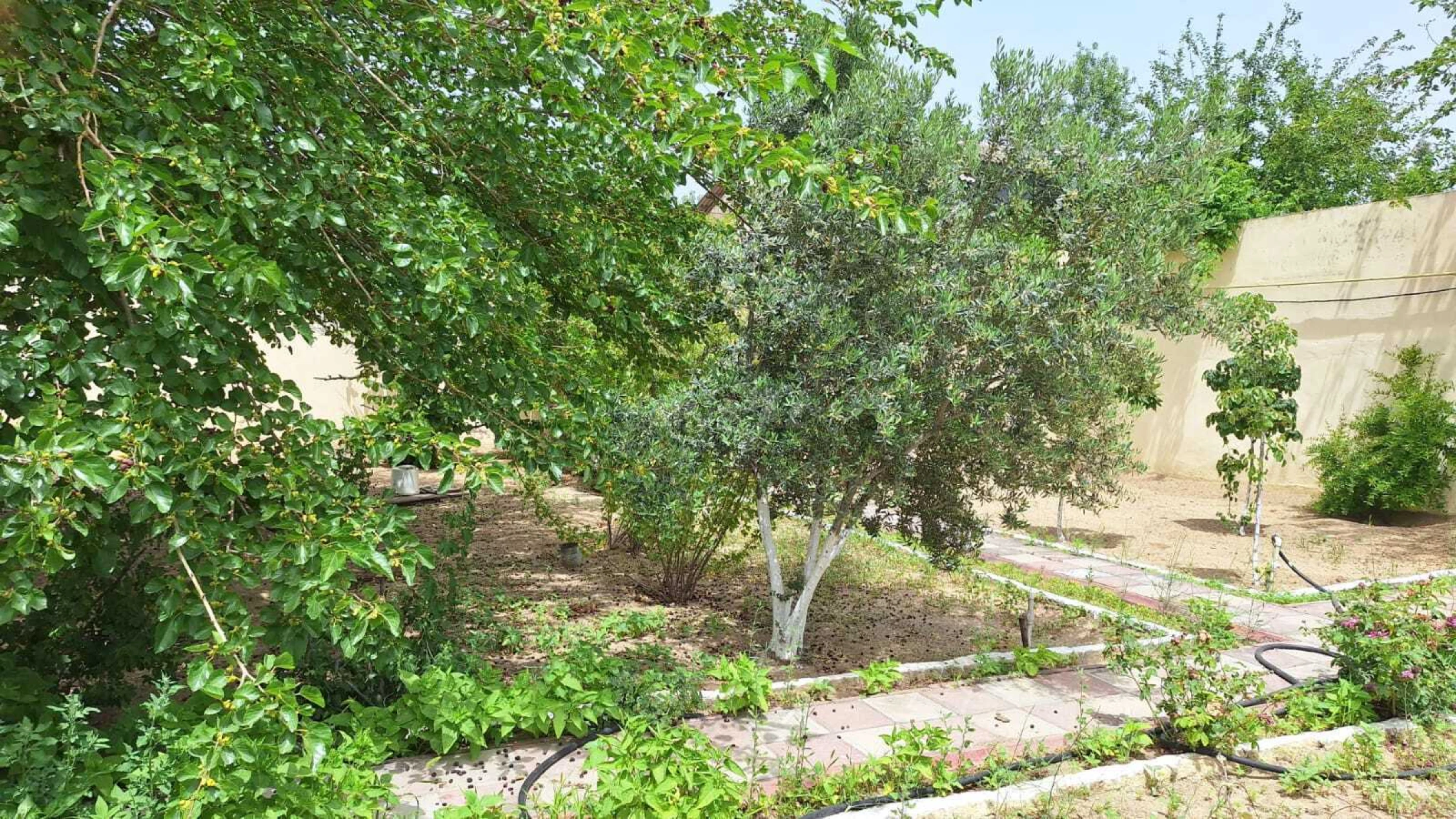 Kirayə verilir 5 otaqlı həyət evi 200 m²